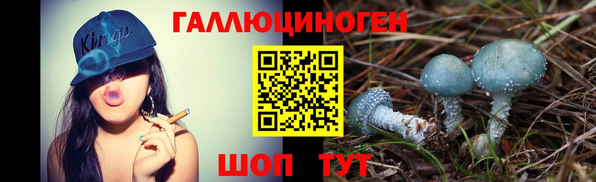 где купить наркотик  Вход с VPN  Зима  Галлюциногенные грибы Psilocybine cubensis 
